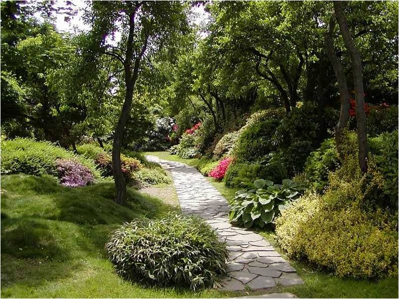 jardin